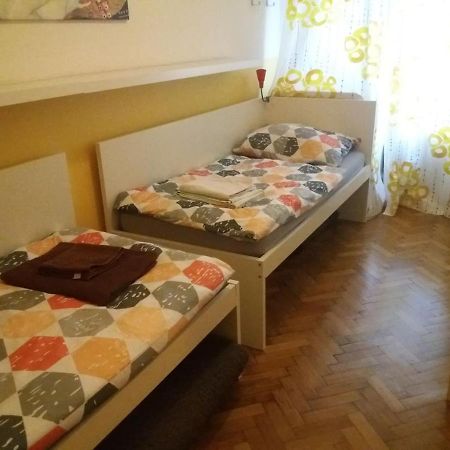Geraeumige Zentrumsnahe Altbauwohnung ウィーン エクステリア 写真